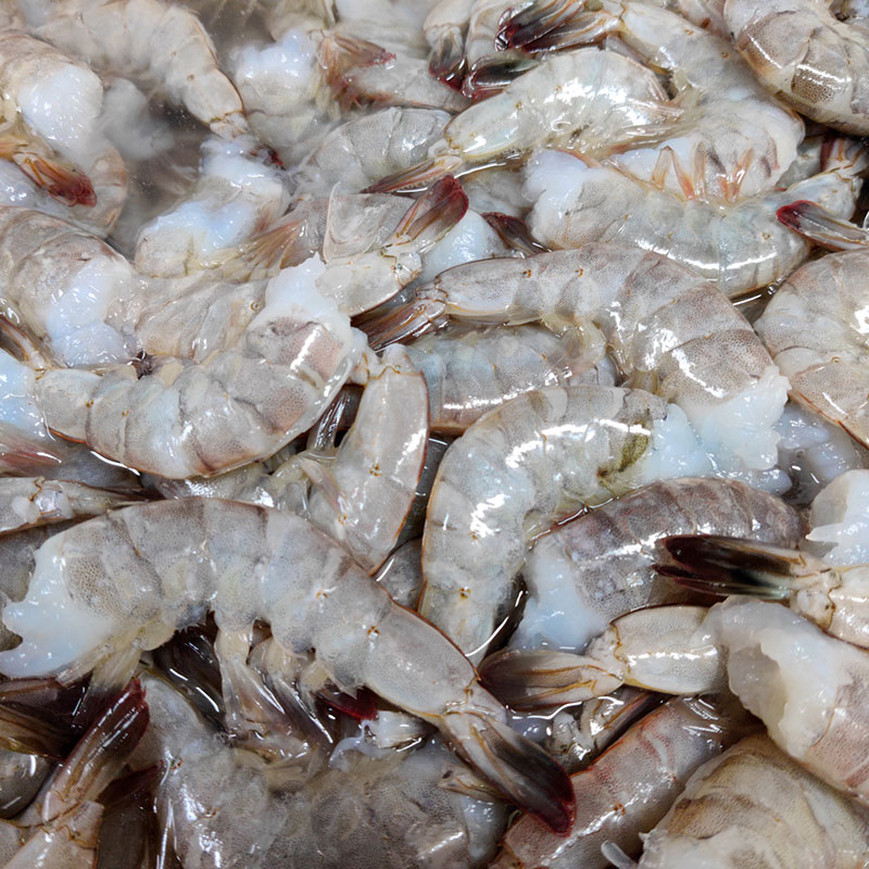 Uncooked Shrimp